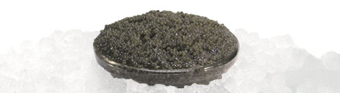 Our Caviar