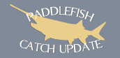 Catch Update